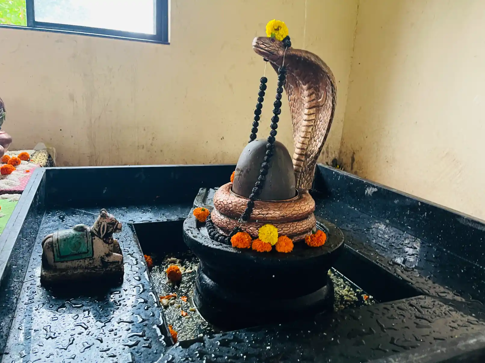 महामृत्युंजय जाप त्र्यंबकेश्वर