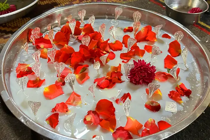 नारायण नागबली पूजा त्र्यंबकेश्वर